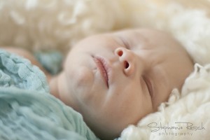 IMG_5073_1