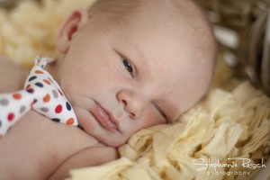 IMG_5242_1