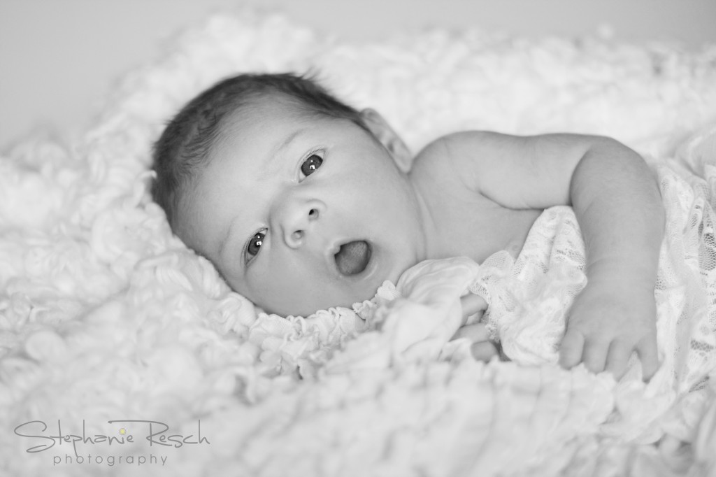 IMG_3599BW